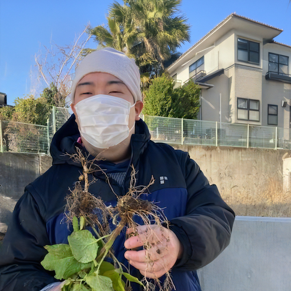 庭の草あつめ